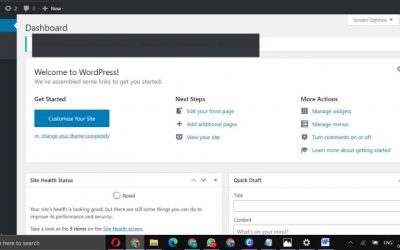 Info Pemasaran Digital Medan 1 Tentang WordPress dan Keunggulan CMS WordPress